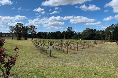 Private Day Trip To Hunter Valley From Sydney With Pickup - Australia Accommodation 13