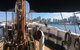 Convicts & Castles: Goat Island Walking Tour Including Sydney Harbour Cruise - thumb 15