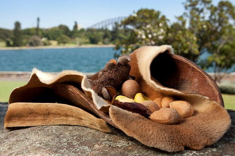 Aboriginal Heritage Tour At The Royal Botanic Garden Sydney - Australia Accommodation 7