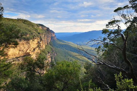 Sunset Blue Mountains Wilderness & Wildlife Tour (Without The Crowds) - Australia Accommodation 14