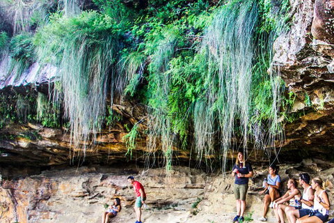 Sunset Blue Mountains Wilderness & Wildlife Tour (Without The Crowds) - Australia Accommodation 8