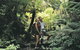 Sunset Blue Mountains Wilderness & Wildlife Tour (Without The Crowds) - thumb 6