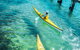 Self-Guided Sydney Middle Harbour Kayak 3 Hour Tour By Single Kayak - thumb 1