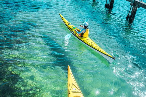 Self-Guided Sydney Middle Harbour Kayak 3 Hour Tour By Single Kayak - Australia Accommodation 1