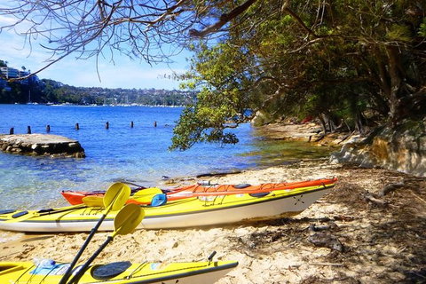 Self-Guided Sydney Middle Harbour Kayak 3 Hour Tour By Single Kayak - Australia Accommodation 6