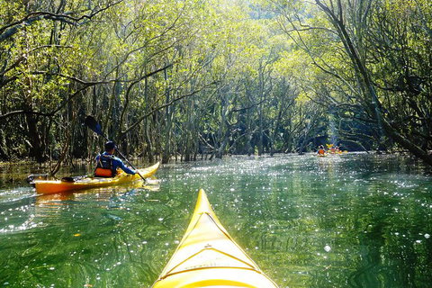 Self-Guided Sydney Middle Harbour Kayak 3 Hour Tour By Single Kayak - Australia Accommodation 5