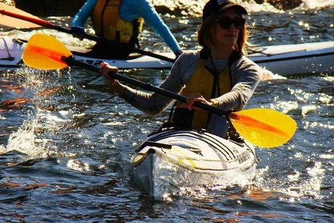 Self-Guided Sydney Middle Harbour Kayak 3 Hour Tour By Single Kayak - Australia Accommodation 8
