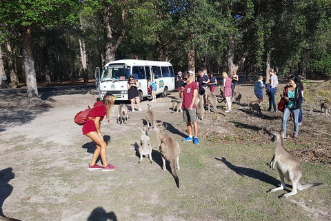 Port Stephens Beach Day Trip From Sydney Including Barbecue Lunch - Australia Accommodation 1