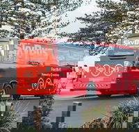SkyBus Byron Bay Express - Australia Accommodation