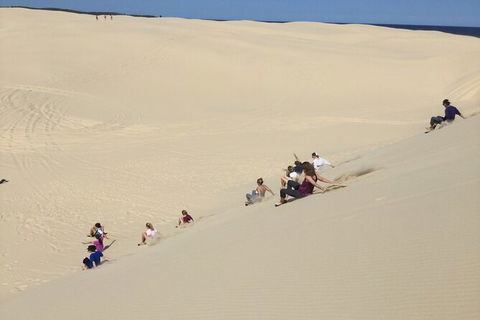 Port Stephens Bush, Beach And Sand Dune 4WD Passenger Tour - Australia Accommodation 2