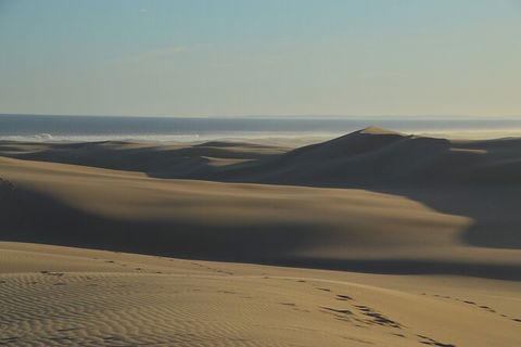 Port Stephens Bush, Beach And Sand Dune 4WD Passenger Tour - Australia Accommodation 6