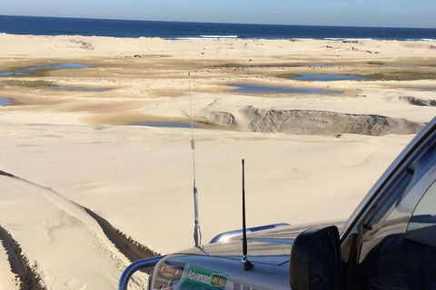 Port Stephens Bush, Beach And Sand Dune 4WD Passenger Tour - Australia Accommodation 4