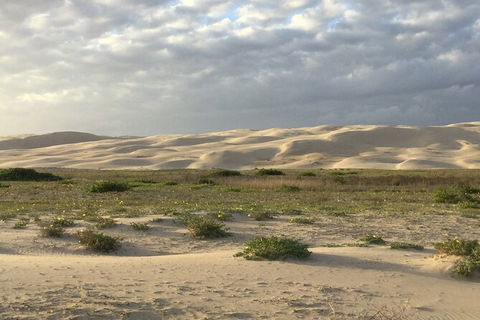 Port Stephens Bush, Beach And Sand Dune 4WD Passenger Tour - Australia Accommodation 3