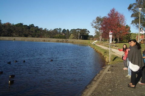 All-Day Blue Mountains Private Tour With Professional Guide For Up To 4 People - Australia Accommodation 24