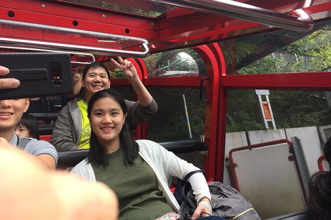 All-Day Blue Mountains Private Tour With Professional Guide For Up To 4 People - Australia Accommodation 15