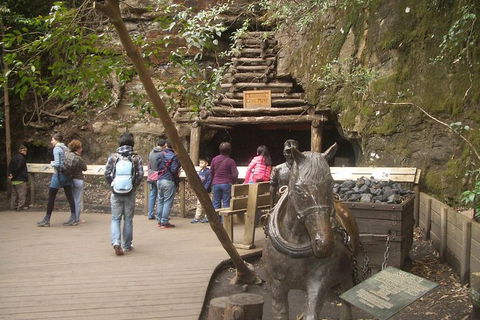 All-Day Blue Mountains Private Tour With Professional Guide For Up To 4 People - Australia Accommodation 9
