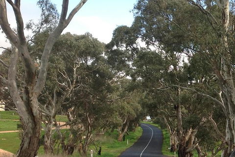 All-Day Blue Mountains Private Tour With Professional Guide For Up To 4 People - Australia Accommodation 22