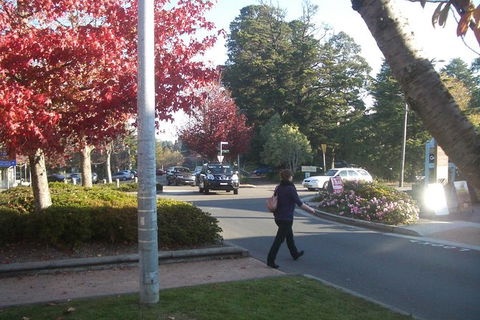 All-Day Blue Mountains Private Tour With Professional Guide For Up To 4 People - Australia Accommodation 12