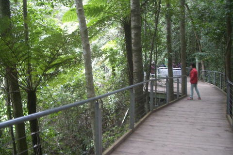 All-Day Blue Mountains Private Tour With Professional Guide For Up To 4 People - Australia Accommodation 20