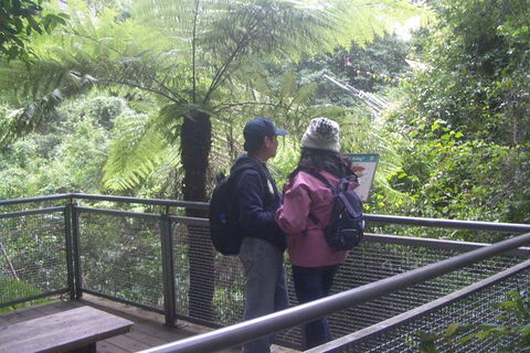 All-Day Blue Mountains Private Tour With Professional Guide For Up To 4 People - Australia Accommodation 19