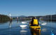 Batemans Bay Oyster Tasting Kayak Tour - thumb 7