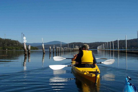 Batemans Bay Oyster Tasting Kayak Tour - Australia Accommodation 7