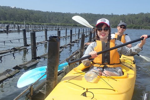 Batemans Bay Oyster Tasting Kayak Tour - Australia Accommodation 5