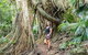 South Coast Private Bucket List Full Day Tour - thumb 0