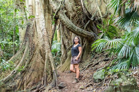 South Coast Private Bucket List Full Day Tour - Australia Accommodation 0