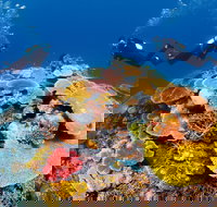 Agincourt Reef - Australia Accommodation