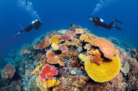 Agincourt Reef - Australia Accommodation 0