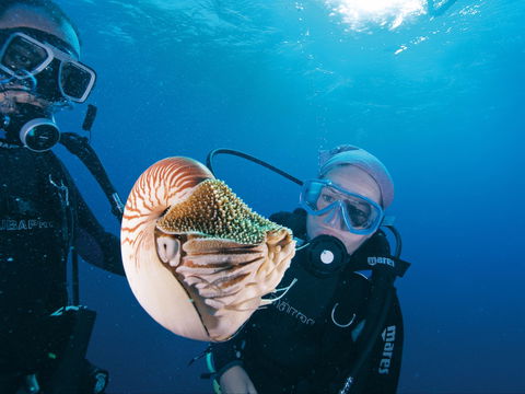 Agincourt Reef - Australia Accommodation 1