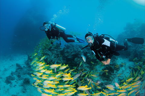 Agincourt Reef - Australia Accommodation 2