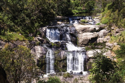 Agnes Falls Scenic Reserve - Australia Accommodation 0
