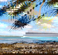 Arrawarra-Corindi Beach - Australia Accommodation