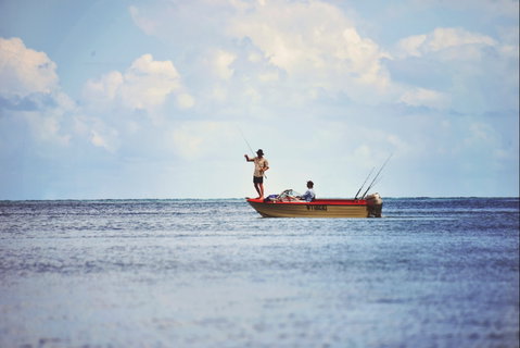Barramundi To Trevally – A Seaforth Fishing Adventure - Australia Accommodation 1