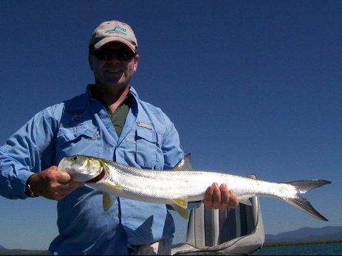 Barramundi To Trevally – A Seaforth Fishing Adventure - Australia Accommodation 2