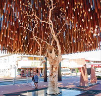 Barcaldine - Australia Accommodation