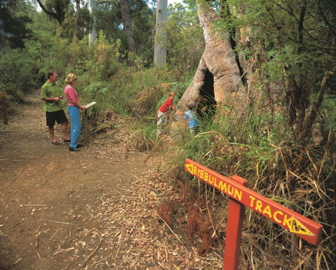 Bibbulmun Track - Australia Accommodation 1
