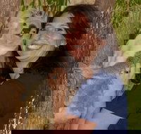 Billabong Sanctuary - Australia Accommodation