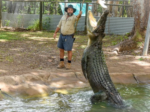 Billabong Sanctuary - Australia Accommodation 1