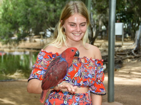 Billabong Sanctuary - Australia Accommodation 2