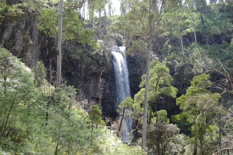 Bindaree Falls - Australia Accommodation 0