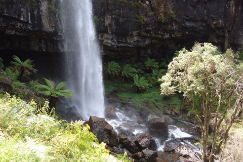 Bindaree Falls - Australia Accommodation 1