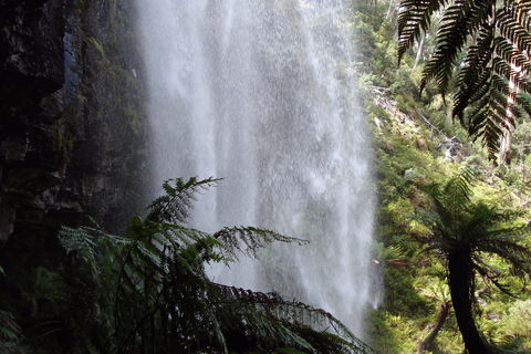 Bindaree Falls - Australia Accommodation 2