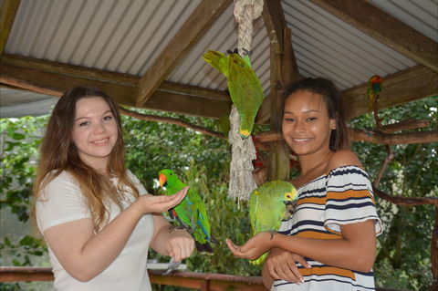 Birdworld Kuranda - Australia Accommodation 0