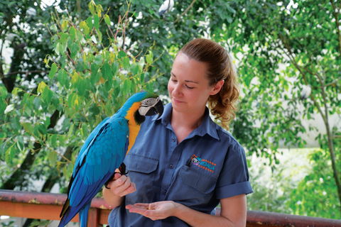 Birdworld Kuranda - Australia Accommodation 1