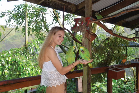 Birdworld Kuranda - Australia Accommodation 2