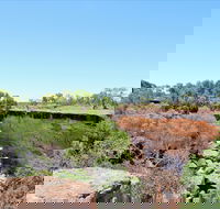 Bladensburg National Park - Australia Accommodation