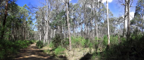 Blue Range Camping And Picnic Area - Australia Accommodation 1